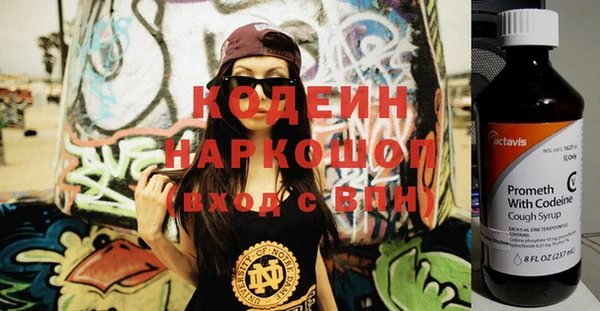 амф Ладушкин