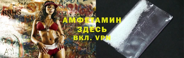 амф Ладушкин