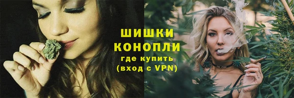 сатива Куйбышев