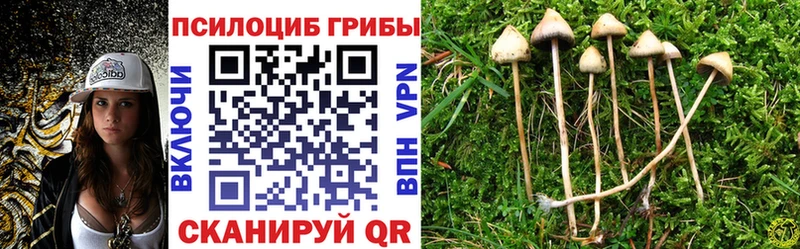 цена наркотик  Нижняя Салда  Псилоцибиновые грибы Psilocybe 
